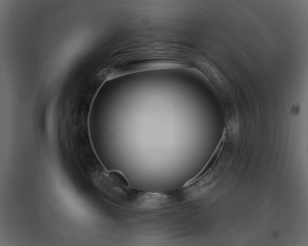 X0000097770429200803071322
