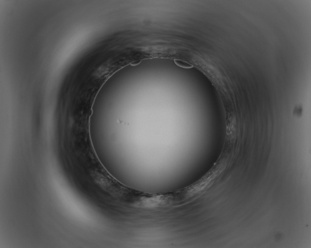 X0000097770430200803071322