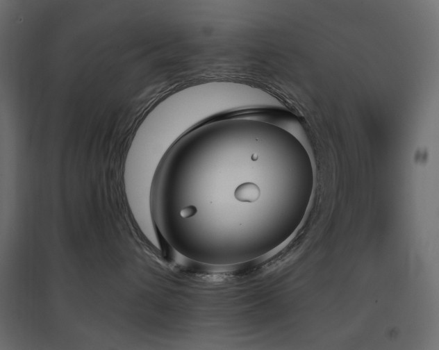 X0000097770432200803071322