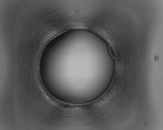 X0000097770433200803071321