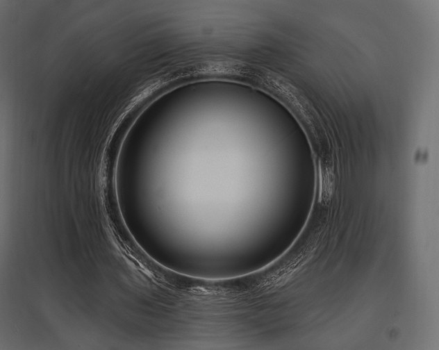 X0000097770435200803071321