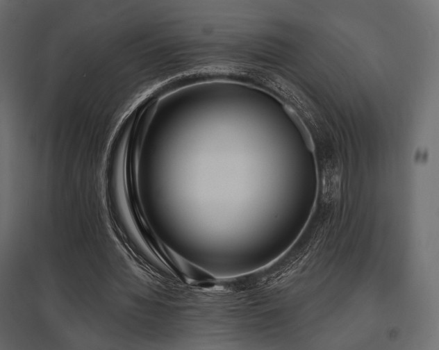 X0000097770436200803071321