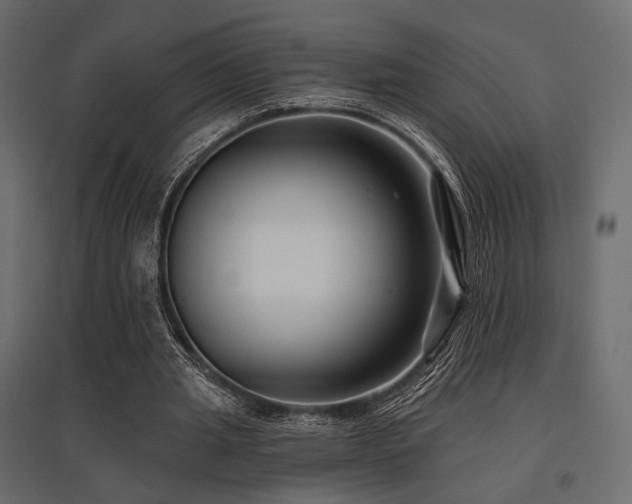 X0000097770437200803071321