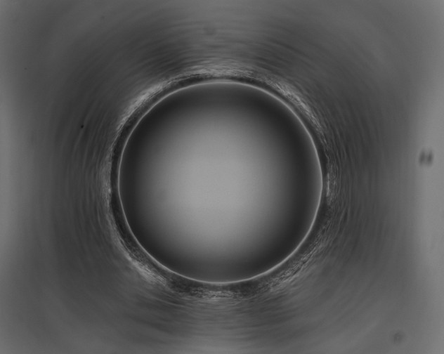 X0000097770438200803071321