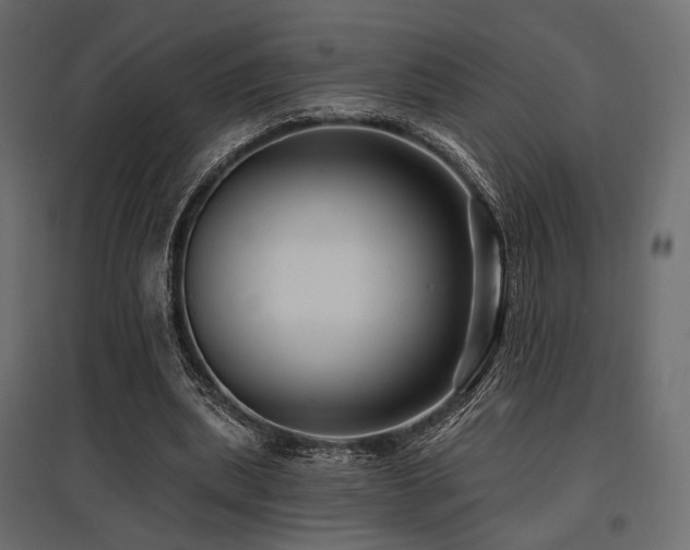 X0000097770439200803071321