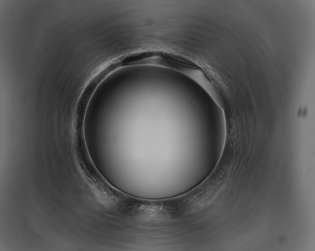 X0000097770440200803071321