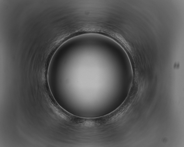 X0000097770441200803071321