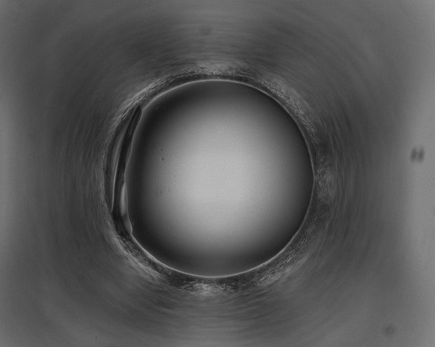 X0000097770442200803071321