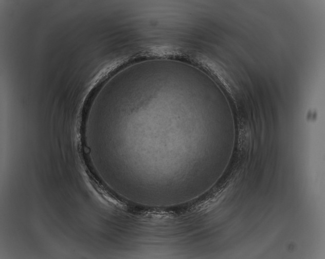 X0000097770443200803071321