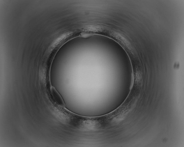 X0000097770444200803071321
