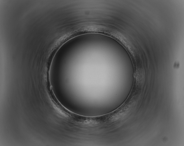 X0000097770445200803071321