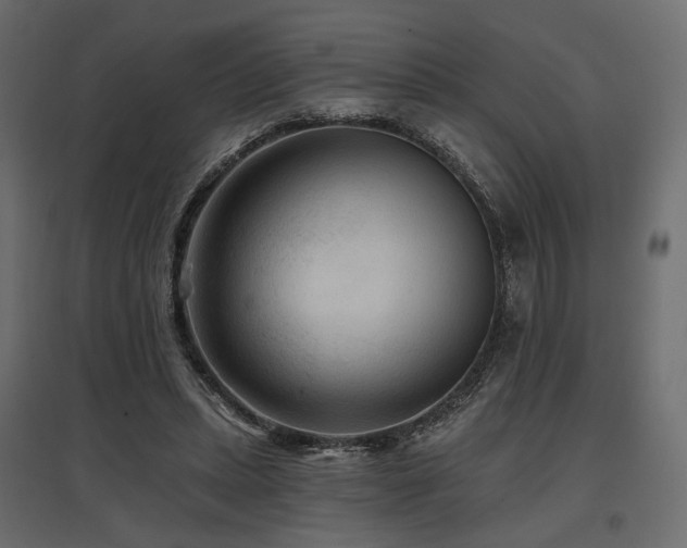 X0000097770447200803071321
