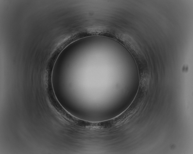 X0000097770448200803071321