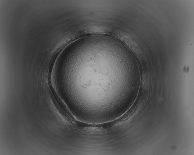 X0000097770449200803071321