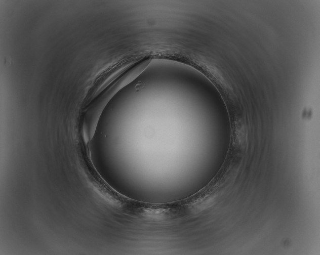 X0000097770450200803071321
