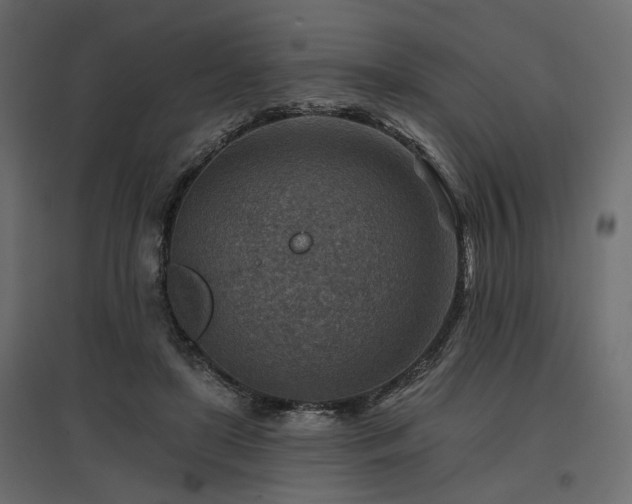 X0000097770451200803071321