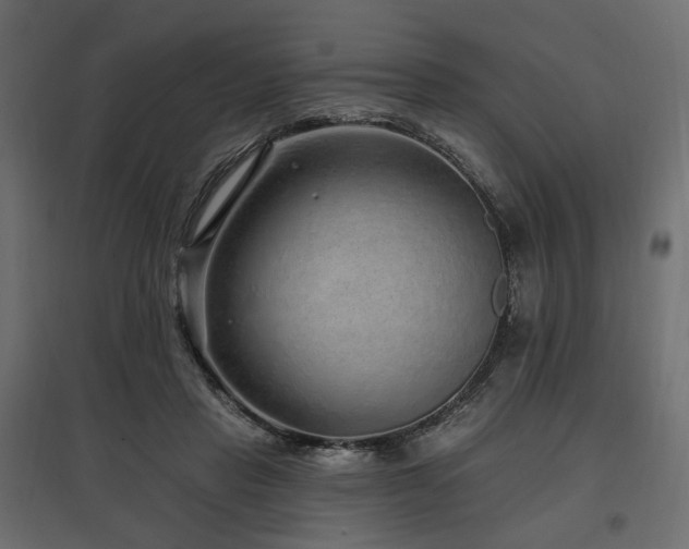 X0000097770453200803071321