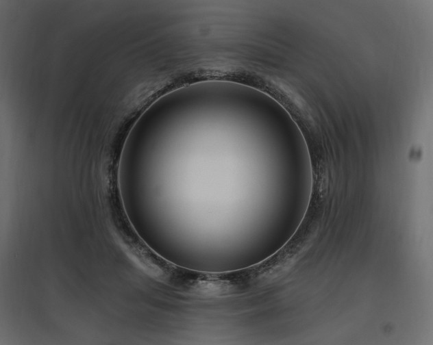 X0000097770455200803071321