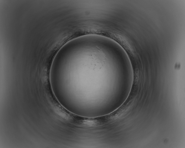 X0000097770457200803071321