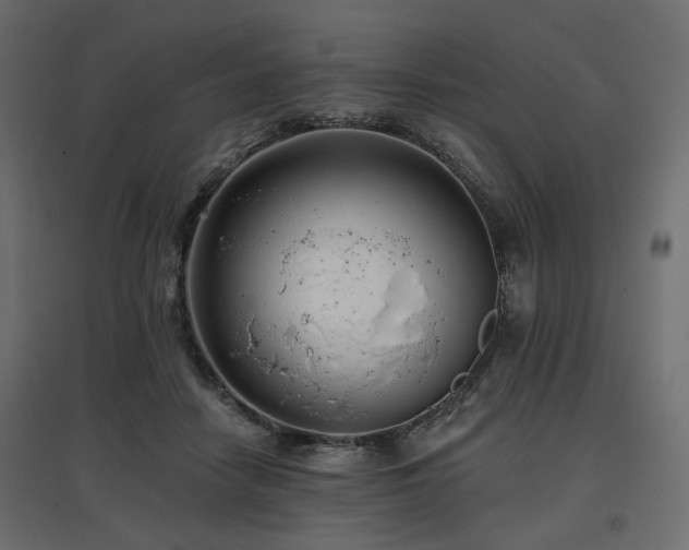 X0000097770458200803071321