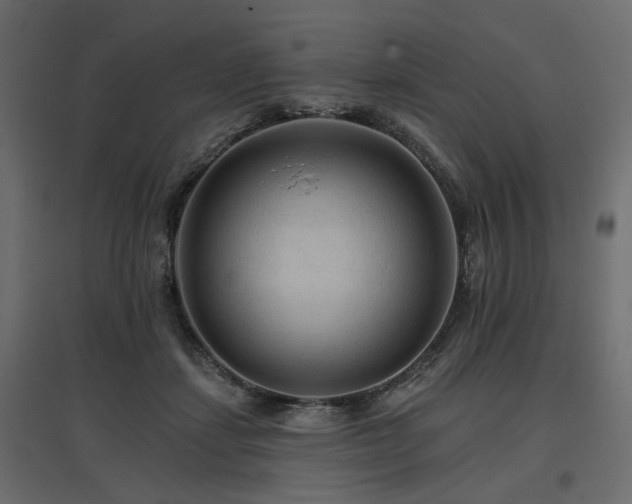 X0000097770459200803071321