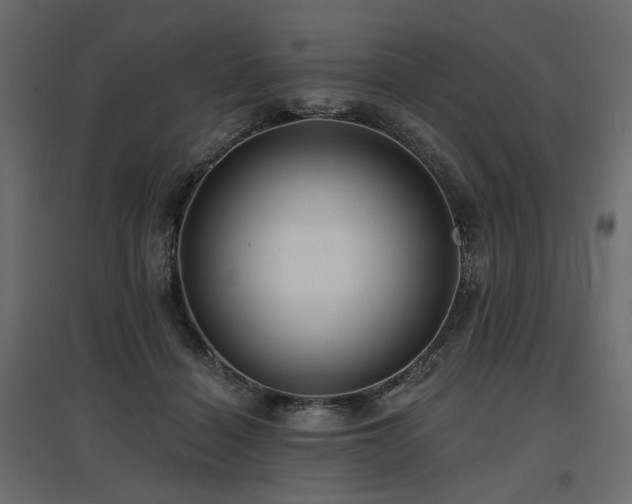 X0000097770460200803071321