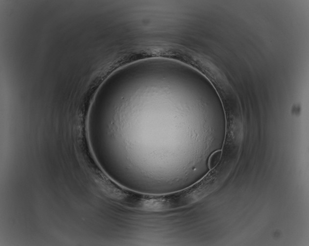 X0000097770461200803071321