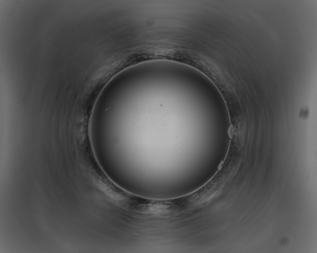 X0000097770462200803071321