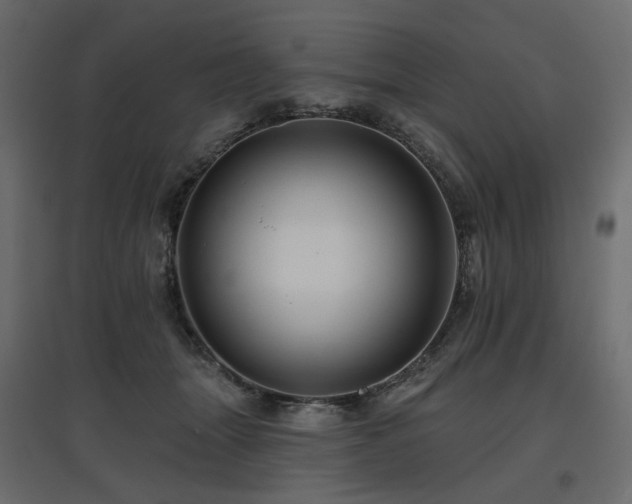 X0000097770463200803071321