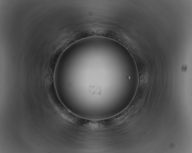 X0000097770464200803071321