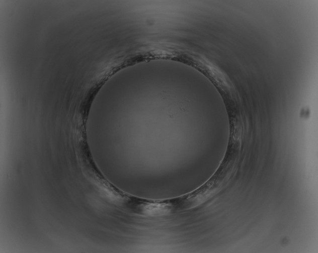 X0000097770465200803071321