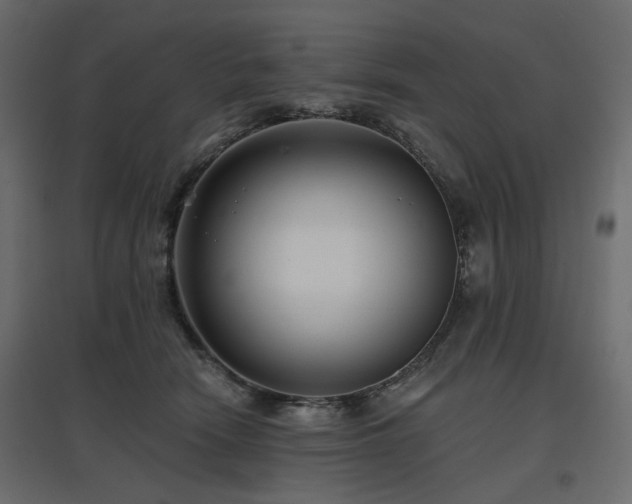 X0000097770466200803071321