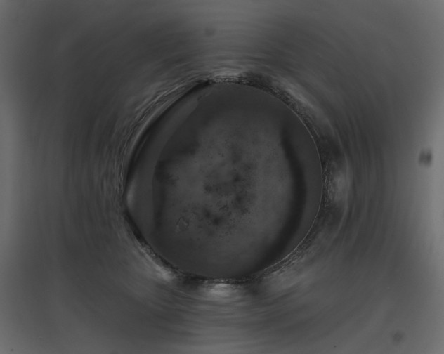 X0000097770467200803071321