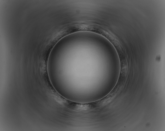X0000097770469200803071321