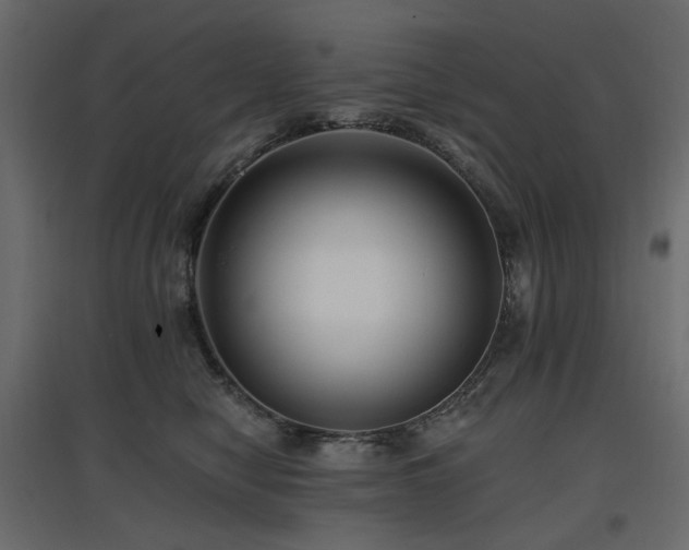 X0000097770470200803071321