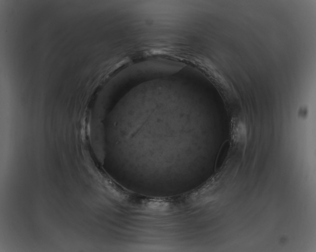 X0000097770471200803071321