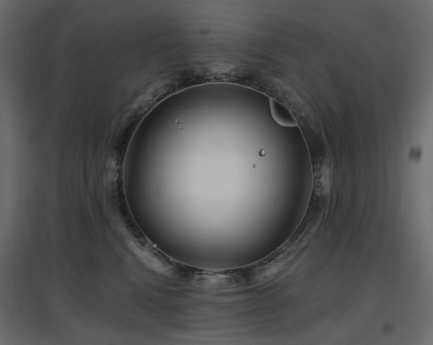 X0000097770472200803071321