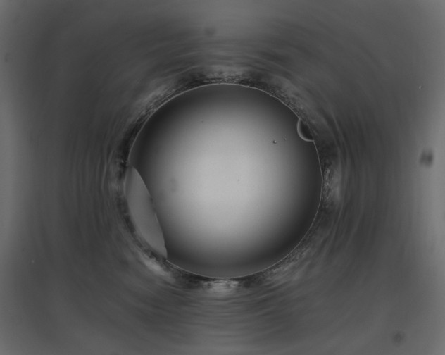 X0000097770474200803071321
