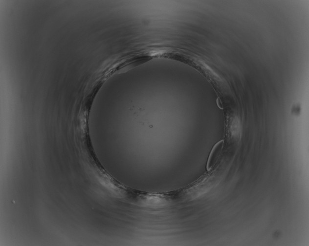 X0000097770475200803071321