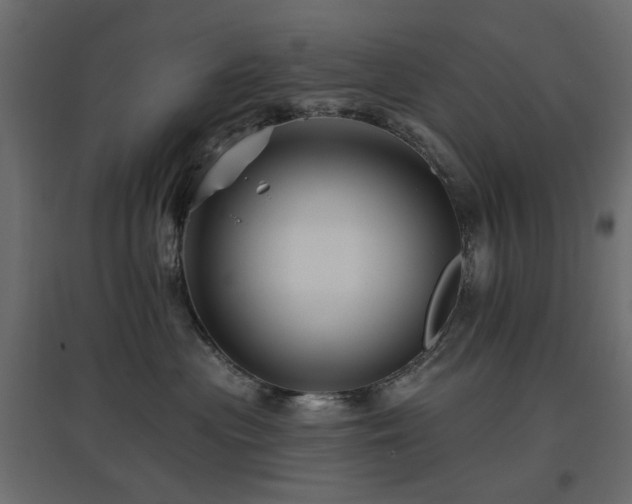 X0000097770477200803071322