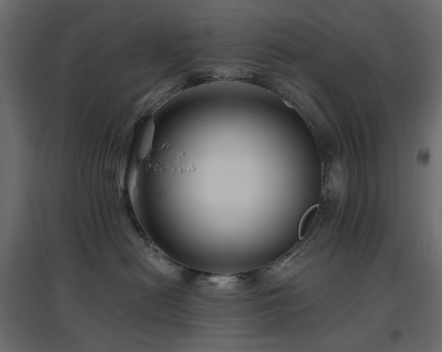 X0000097770478200803071322