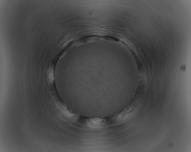 X0000097770479200803071322