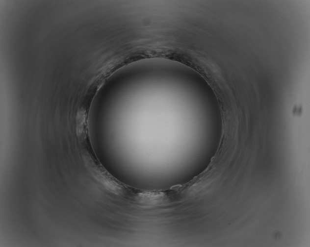 X0000097770480200803071322