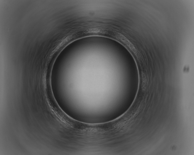 X0000097770482200803071321