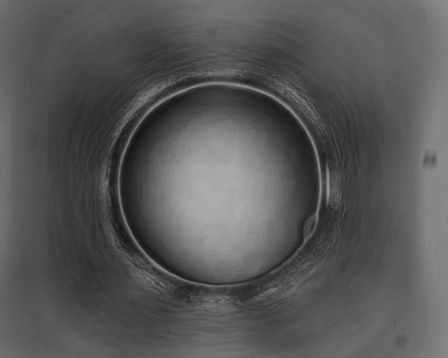 X0000097770483200803071321