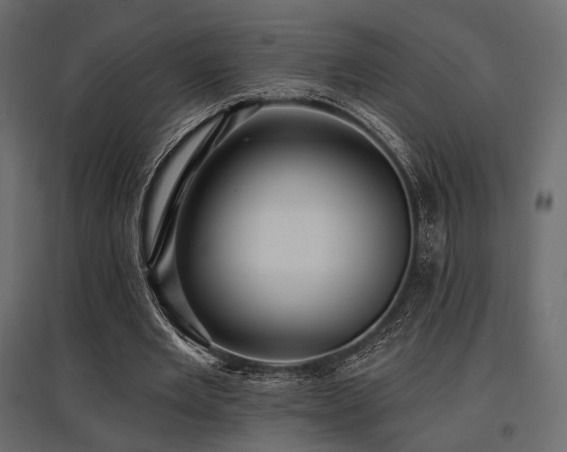 X0000097770485200803071321