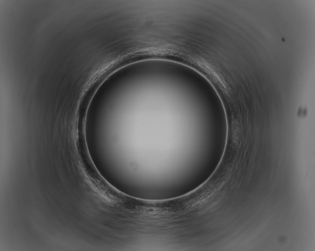 X0000097770486200803071321