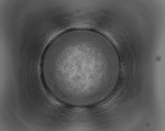 X0000097770487200803071321