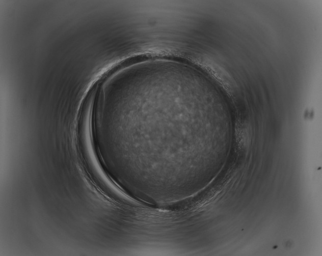 X0000097770488200803071321