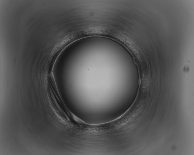 X0000097770489200803071321